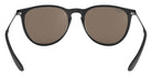 Ray-Ban® Erika RB4171F   Sunglasses