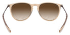 Ray-Ban® Erika RB4171F   Sunglasses