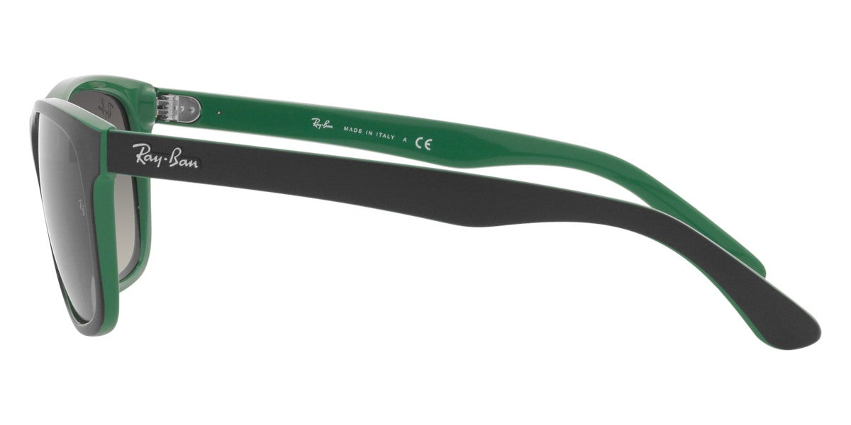 Ray-Ban® RB4181   Sunglasses