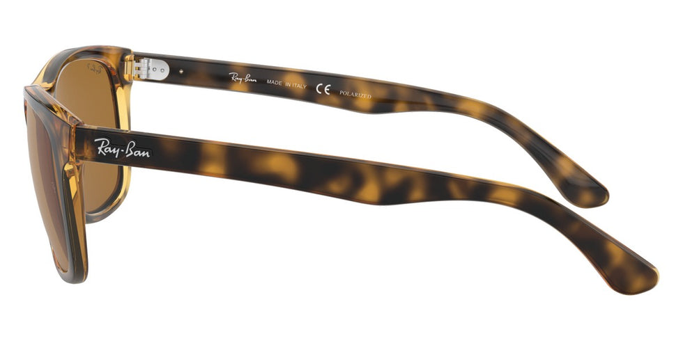 Ray-Ban® RB4181   Sunglasses
