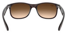 Ray-Ban® Andy RB4202   Sunglasses