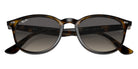 Ray-Ban® RB4259 RB4259 710/11 51 Sunglasses - Light Havana