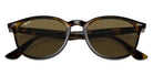 Ray-Ban® RB4259 RB4259 710/73 51 Sunglasses - Light Havana