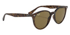Ray-Ban® RB4305 RB4305 710/73 53 Sunglasses - Tortoise