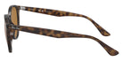 Ray-Ban® RB4305 RB4305 710/83 53 Sunglasses - Tortoise