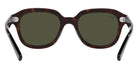 Ray-Ban® Erik RB4398F   Sunglasses