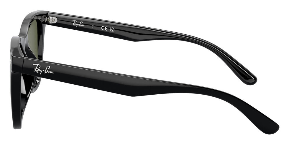 Ray-Ban® RB4420 RB4420 601/9A 65 Sunglasses - Black