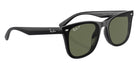 Ray-Ban® RB4420 RB4420 601/9A 65 Sunglasses - Black
