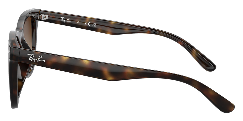 Ray-Ban® RB4420 RB4420 710/13 65 Sunglasses - Havana