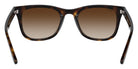 Ray-Ban® RB4420 RB4420 710/13 65 Sunglasses - Havana