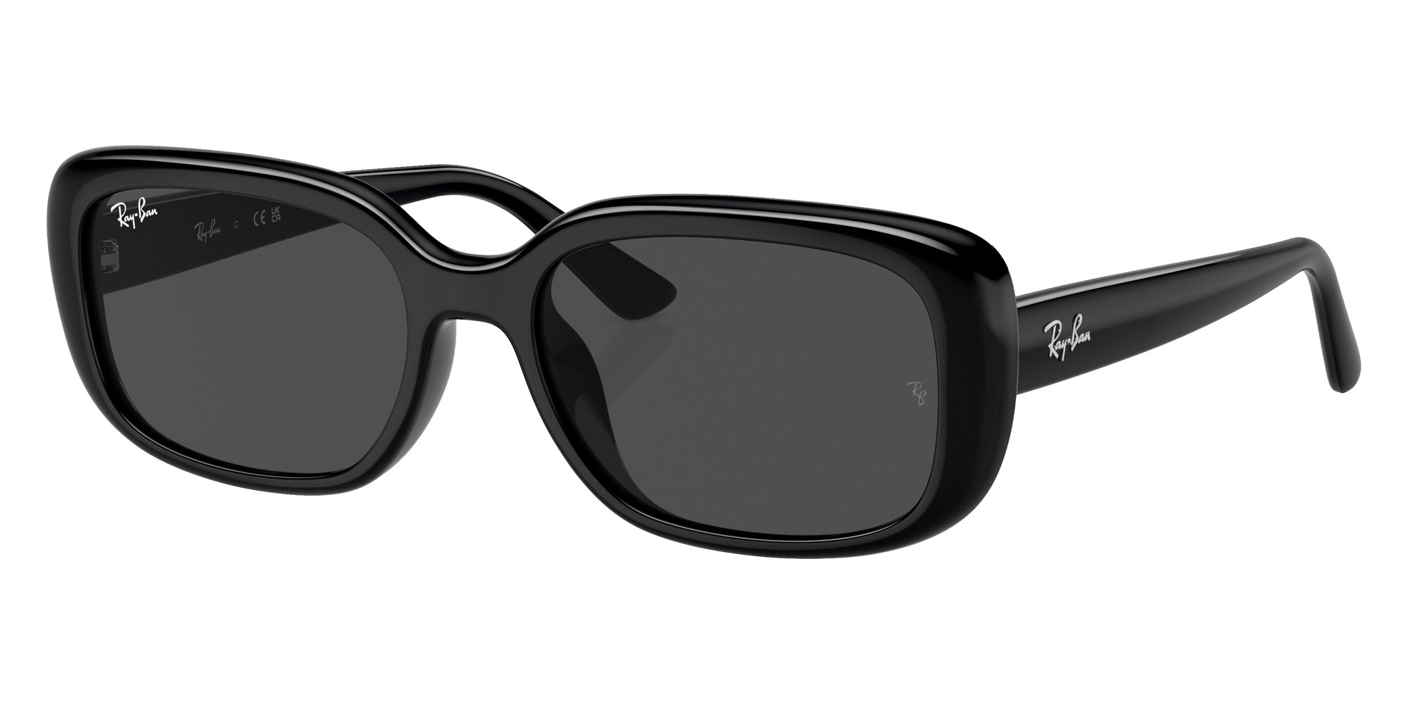 Ray-Ban® RB4421D RB4421D 667787 56 Sunglasses - Black