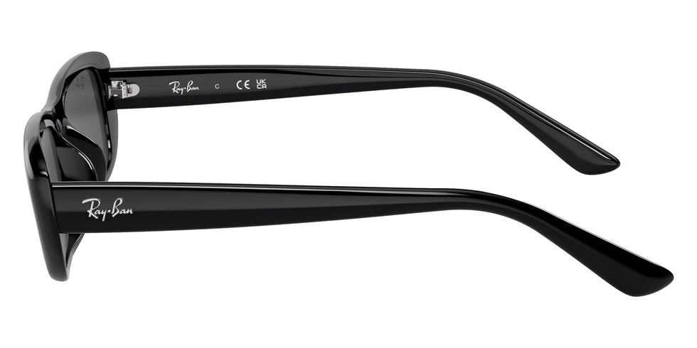 Ray-Ban® RB4436D RB4436D 667787 55 Sunglasses - Black