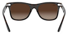 Ray-Ban® Blaze Wayfarer RB4440N   Sunglasses