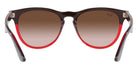 Ray-Ban® Iris RB4471   Sunglasses