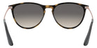 Ray-Ban® Junior Erika RJ9060S   Sunglasses