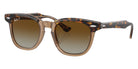 Ray-Ban® RJ9098S RJ9098S 7152T5 45 Sunglasses - Havana On Transparent