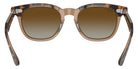 Ray-Ban® RJ9098S RJ9098S 7152T5 45 Sunglasses - Havana On Transparent