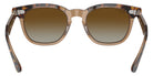 Ray-Ban® RJ9098SF RJ9098SF 7152T5 47 Sunglasses - Havana On Transparent