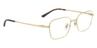 Ray-Ban® RX8784D RX8784D 1251 54 Eyeglasses - Pale Gold