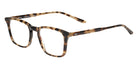 Salt.® Ash Eyeglasses - Blonde Havana