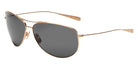 Salt.® Crue Sunglasses - Brushed Gold