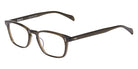 Salt.® Zissou 52 Eyeglasses - Dried Herb