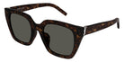 Saint Laurent® M143/F SL M143/F 002 52 - Havana / Gray Sunglasses
