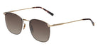 SALT.® Ross Sun Sunglasses - Antique Gold