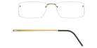 Lindberg® Spirit Titanium™ 2514 - 700-109 Glasses
