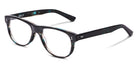 SALT.® ALDAN 54 SAL ALDAN 54 003 54 - Glacier Eyeglasses