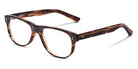 SALT.® ALDAN 54 SAL ALDAN 54 005 54 - Amber Glacier Eyeglasses