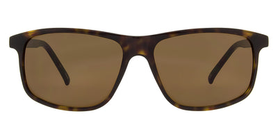 Andy Wolf® 4537 Sun ANW 4537 Sun B 58 - Brown B Sunglasses