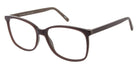 Andy Wolf® 5100 ANW 5100 G 56 - Brown G Eyeglasses
