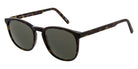 Andy Wolf® Andi Sun ANW Andi Sun B 53 - Brown/Green B Sunglasses