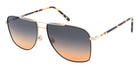 Andy Wolf® Chervil Sun ANW Chervil Sun 03 59 - Gold/Black 03 Sunglasses