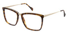 Andy Wolf® Sandle ANW Sandle 03 54 - Brown/Gold 03 Eyeglasses
