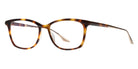 Barton Perreira® Bader - Spanish Cedar/Gold Eyeglasses