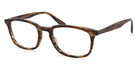 Barton Perreira® Cagney - Sulcata Tortoise Eyeglasses