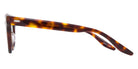 Barton Perreira® Norwell - Spanish Cedar Eyeglasses