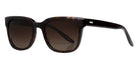 Barton Perreira® Chisa - Dark Walnut / Old English Polarized / Old English Polarized Sunglasses