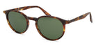 Barton Perreira® Norton - Chestnut / Bottle Green / Bottle Green Sunglasses