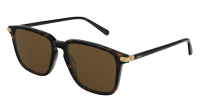Brioni® BR0057S - Havana / Brown Sunglasses