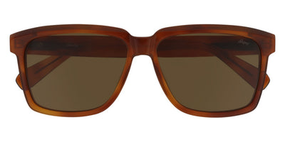 Brioni® BR0064S - Havana / Brown Sunglasses