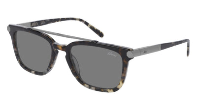 Brioni® BR0078S - Havana / Gray Sunglasses