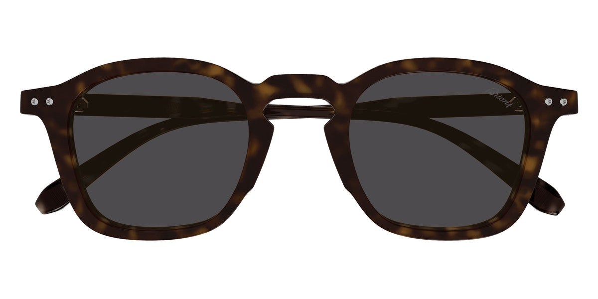 Brioni® BR0097S - Havana / Gray Sunglasses