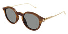 Brioni® BR0103S - Brown/Gold / Gray Sunglasses