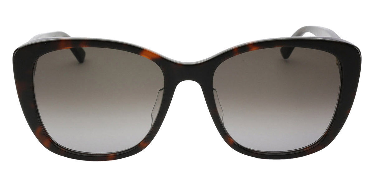 Bottega Veneta® BV1079SK - Havana / Gray Gradient Sunglasses