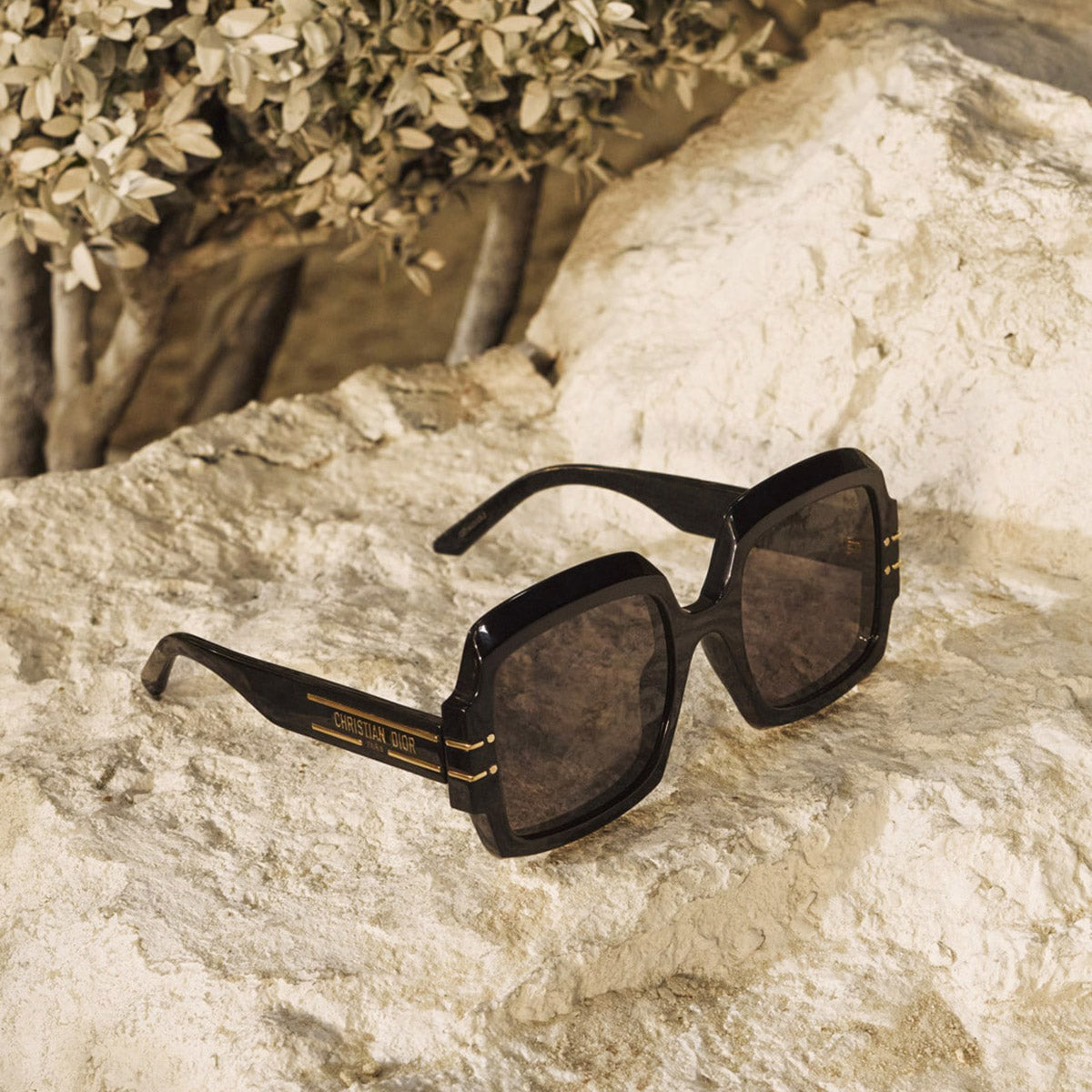 Dior® DiorSignature S1U Geometric Sunglasses - EuroOptica