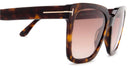 Tom Ford® FT0952 Selby FT0952 Selby 52F 55 - 52F - Shiny Classic Dark Havana / Gradient Brown Lenses Sunglasses