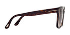 Tom Ford® FT0952 Selby FT0952 Selby 52F 55 - 52F - Shiny Classic Dark Havana / Gradient Brown Lenses Sunglasses